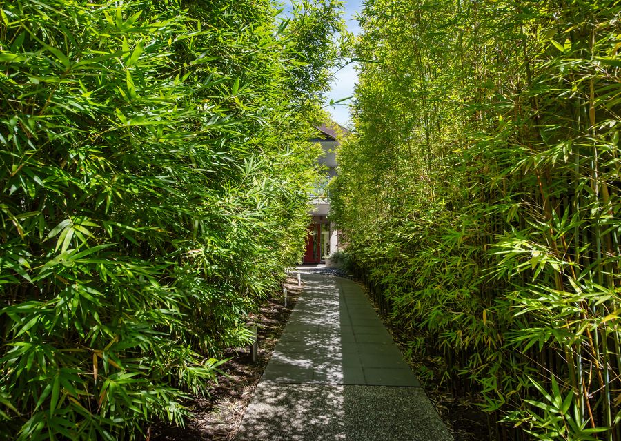 Heart of Hampton by the Beach