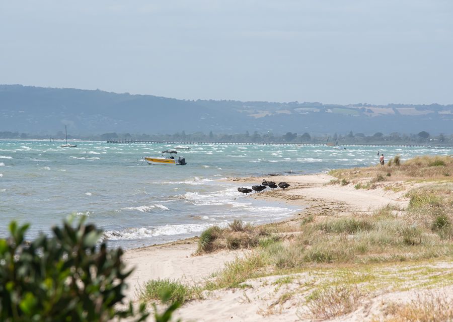 Enjoy the lush greenery and seashore view. 