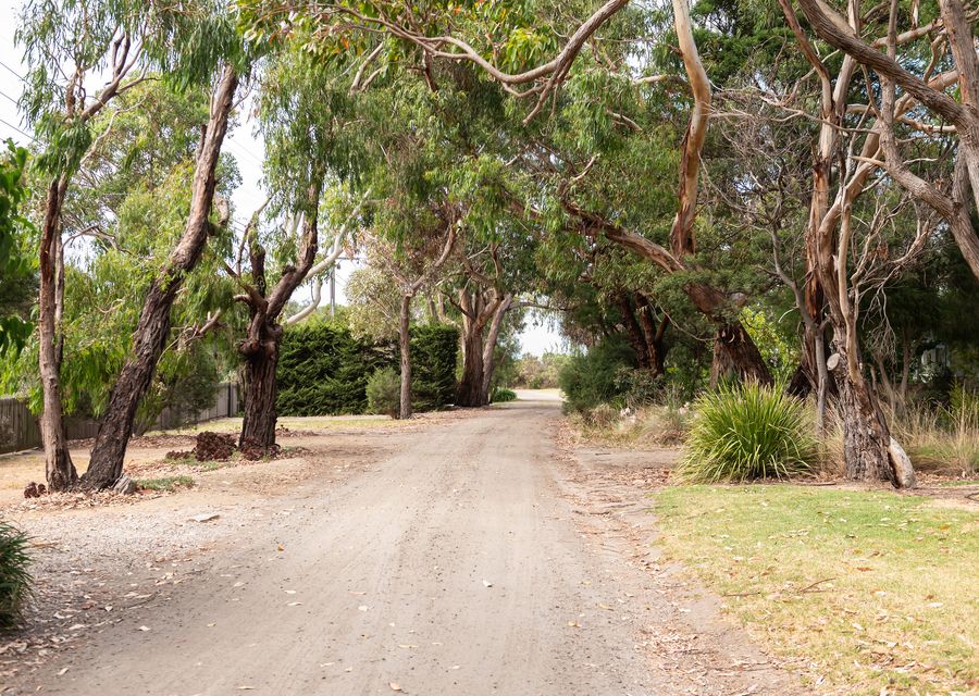 Lady Abigail in Flinders