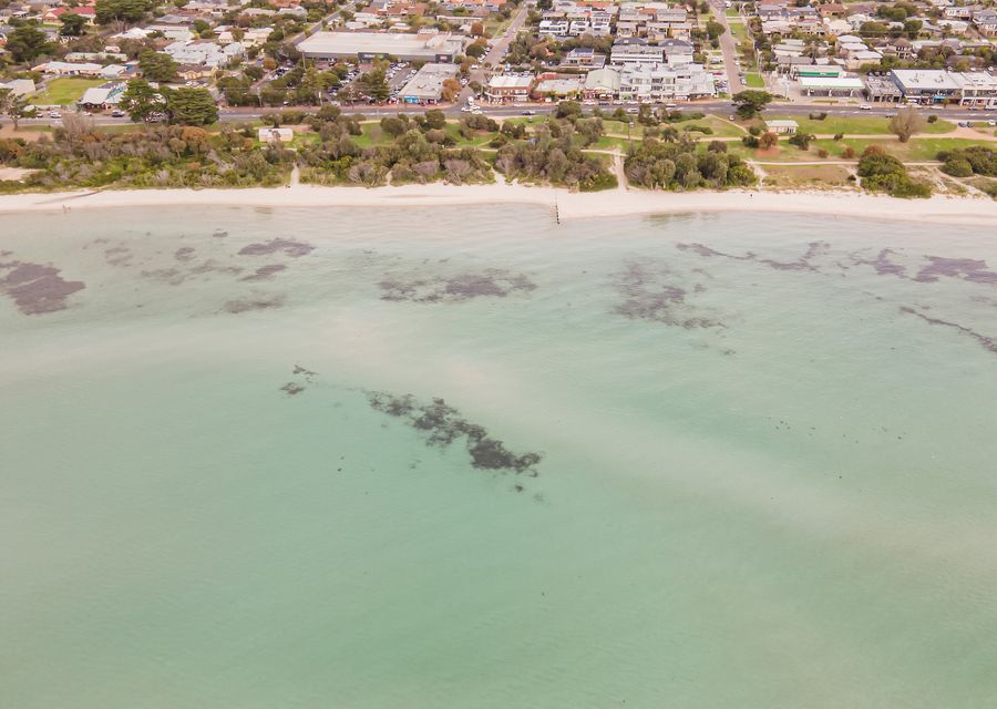 Welcome to our neighbourhood 