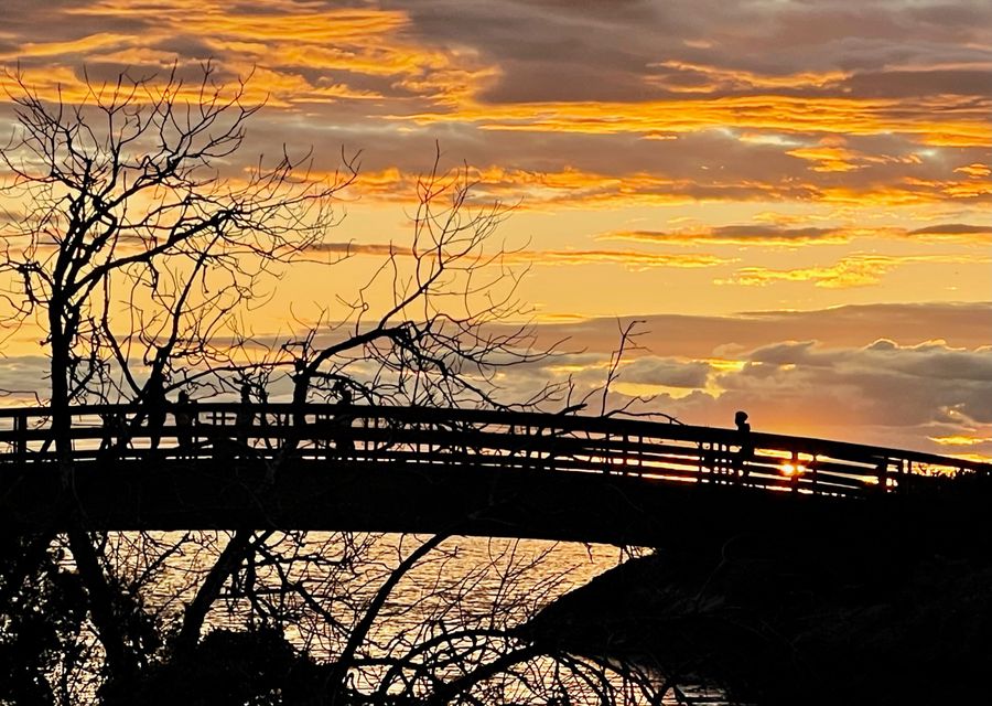 IG-worthy bridge nearby where you can enjoy the sunset or morning walks