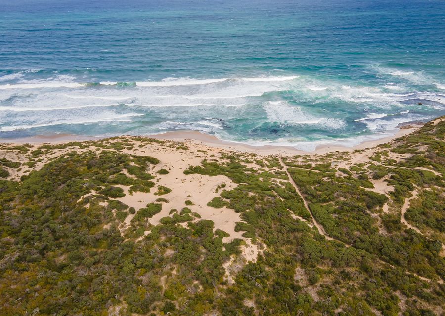 Rye neighbourhood, near the sea