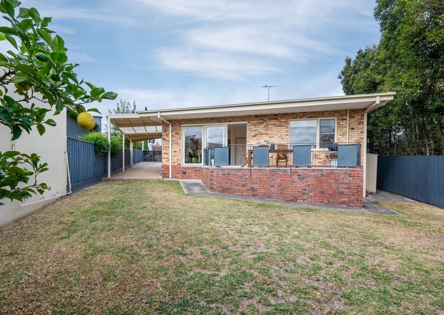 Large secure back yard