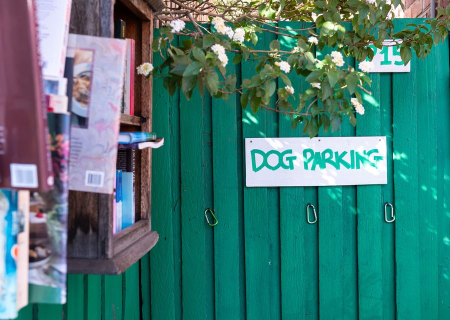 Miss Peregrine in Brighton East