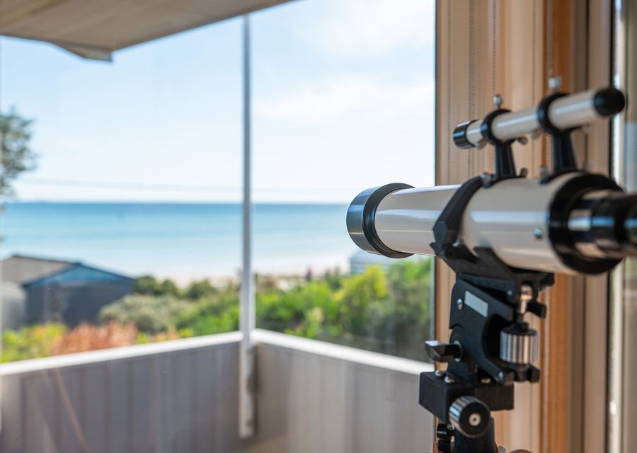 Dolphin or ship watching sorted 