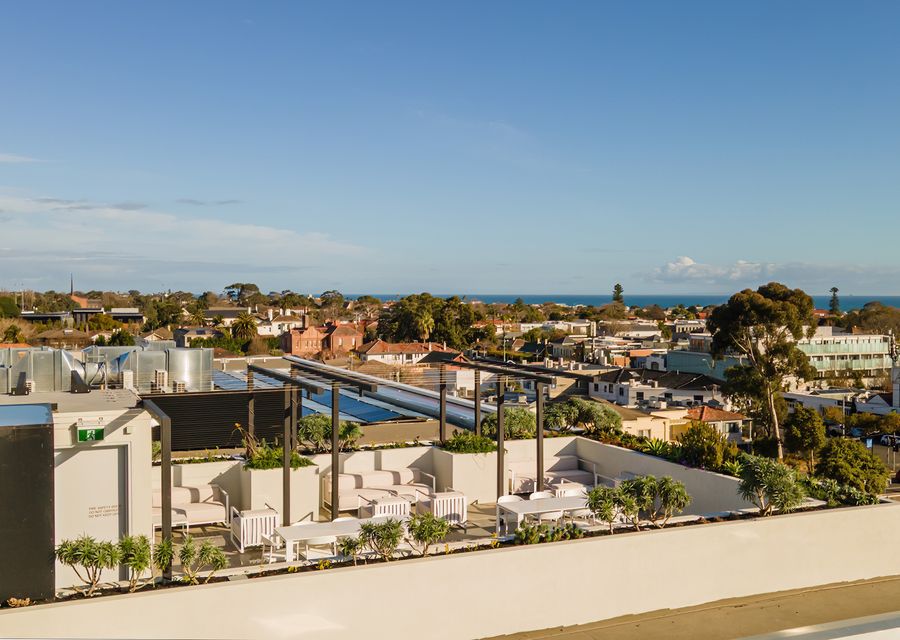 Signature 81 in Brighton