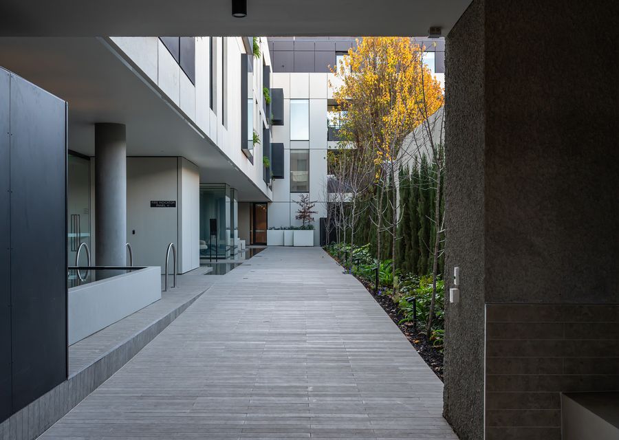 Signature 81 in Brighton