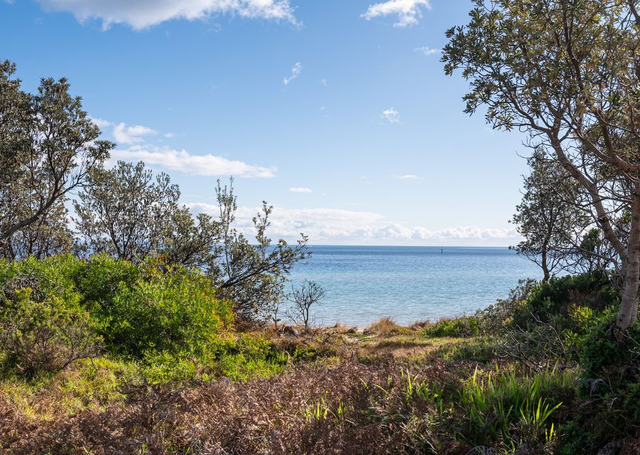 Near by Safety Beach