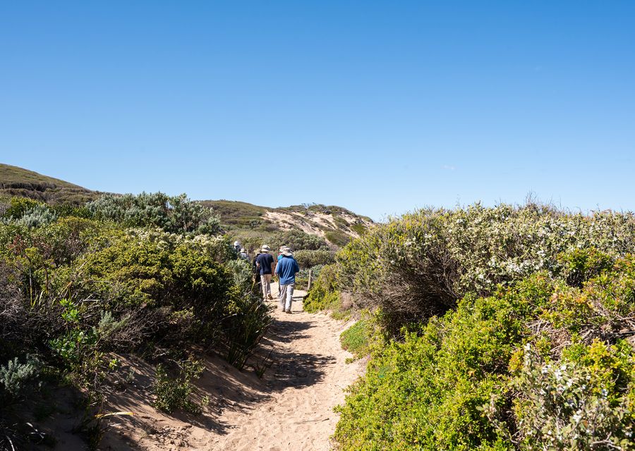 Trail to a scenic view