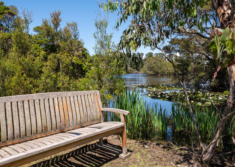 More seating area near the lake 