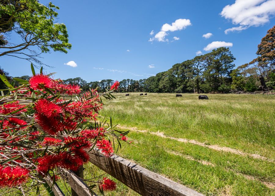 Fenced area for wildlife