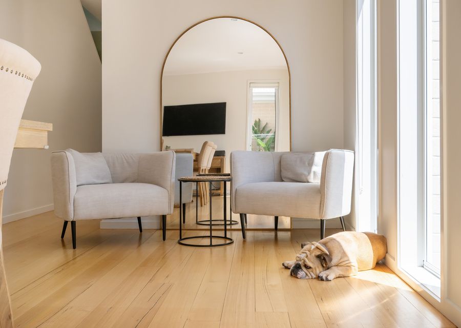 Sun filled reading and relaxing