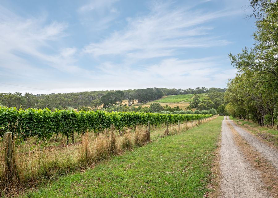 Bella’s Block Vineyard Retreat with Tennis Court, Shoreham