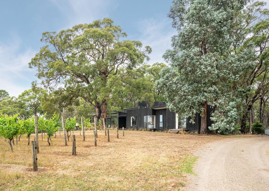 Bella’s Block Vineyard Retreat with Tennis Court, Shoreham