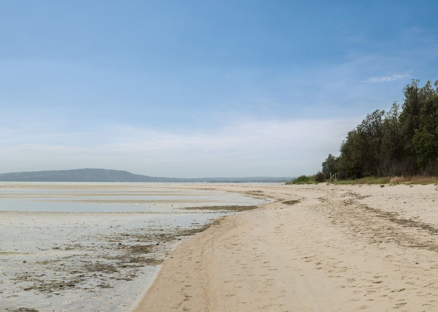 Beachfront Gem in Capel Sound