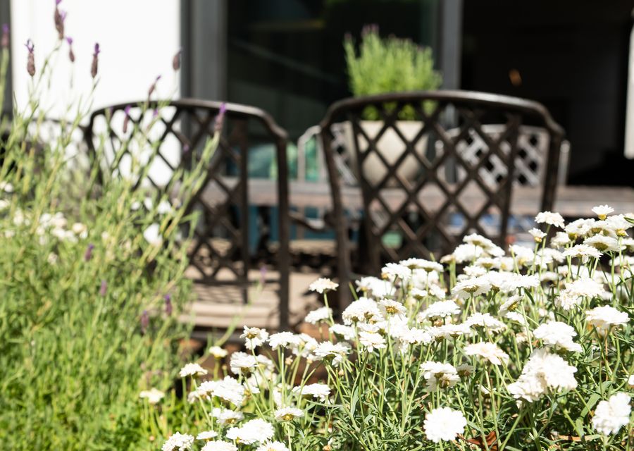 South Yarra Sanctuary