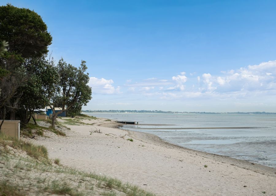 Parkside Breeze in Rosebud