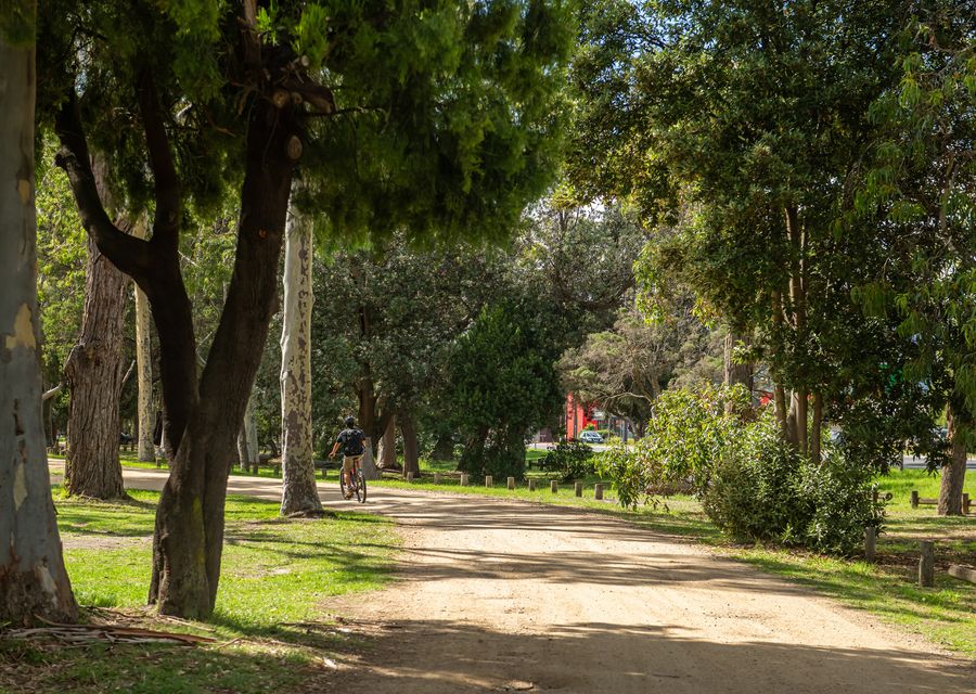 Parkside Breeze in Rosebud