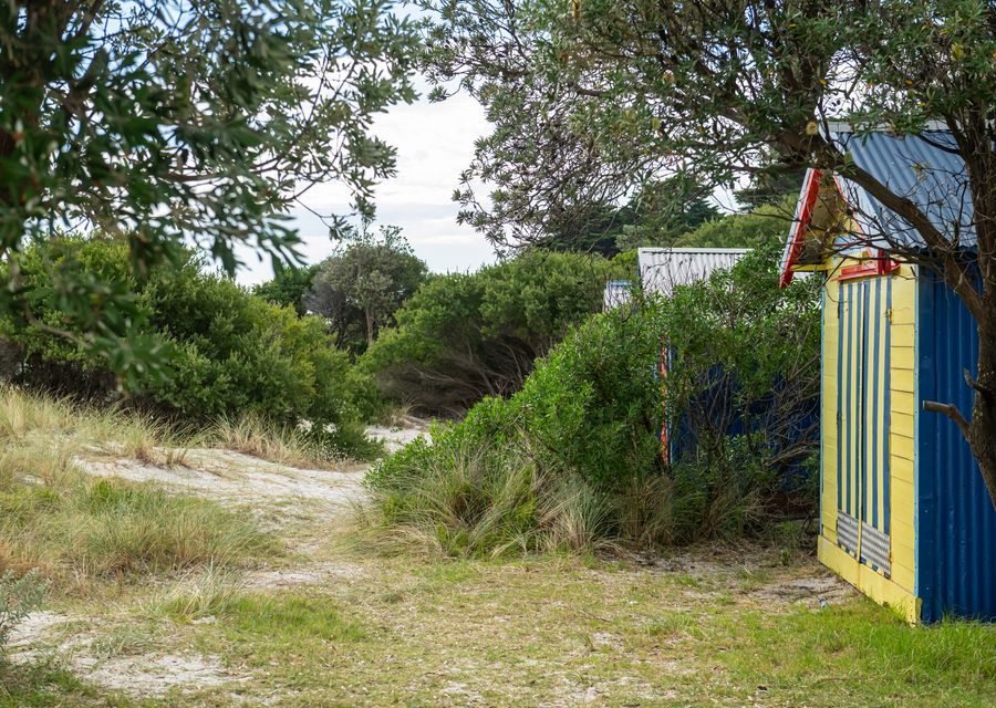 Parkside Breeze in Rosebud