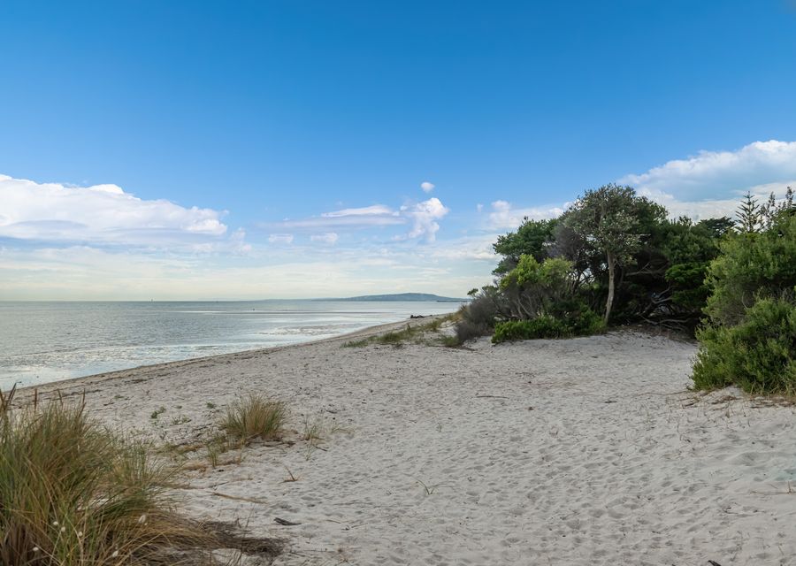 Parkside Breeze in Rosebud