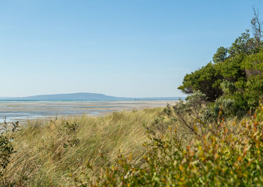 Tides Edge in Capel Sound