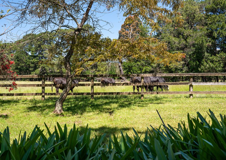 The Manor – Woodman Estate