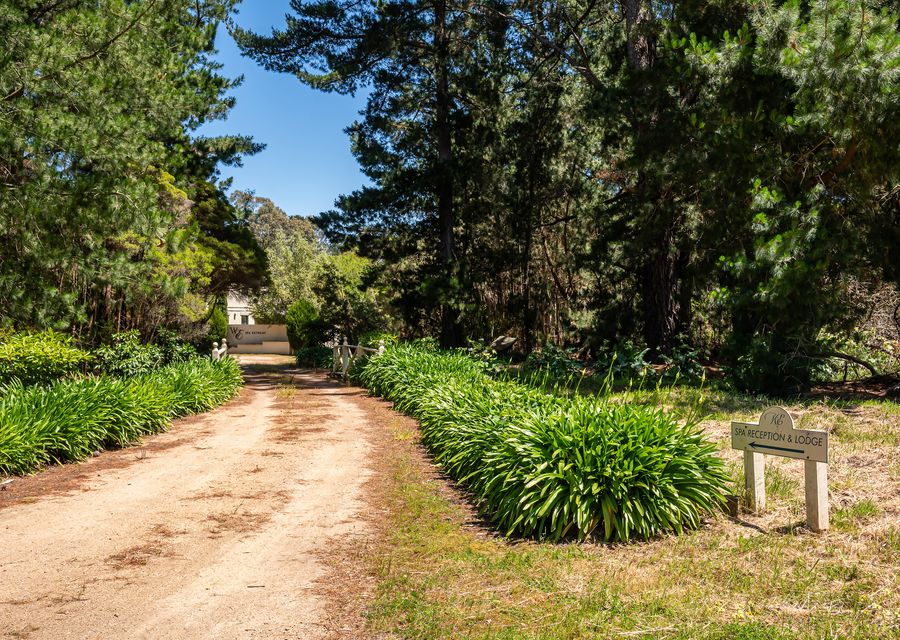 The Manor – Woodman Estate