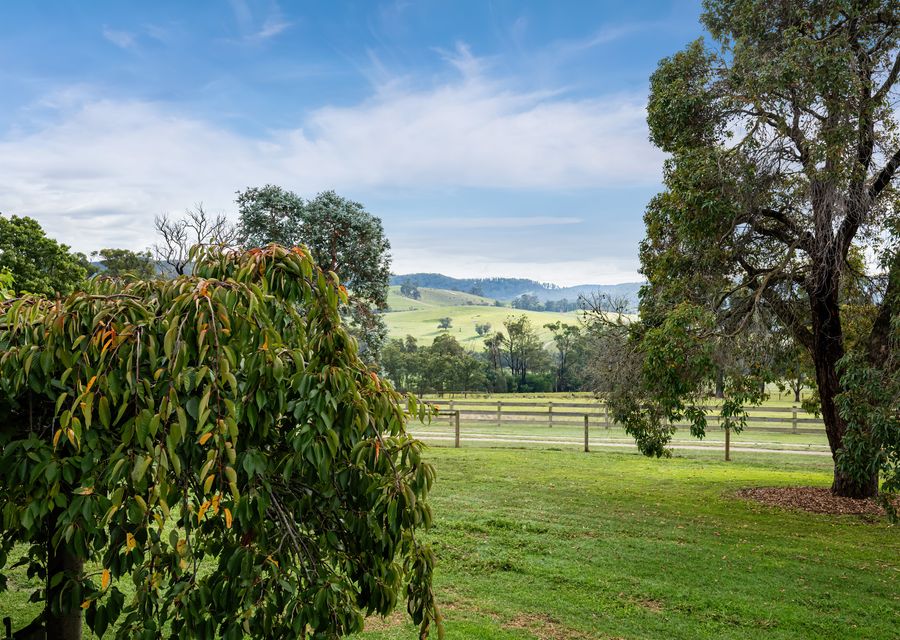 Mysa Homestead