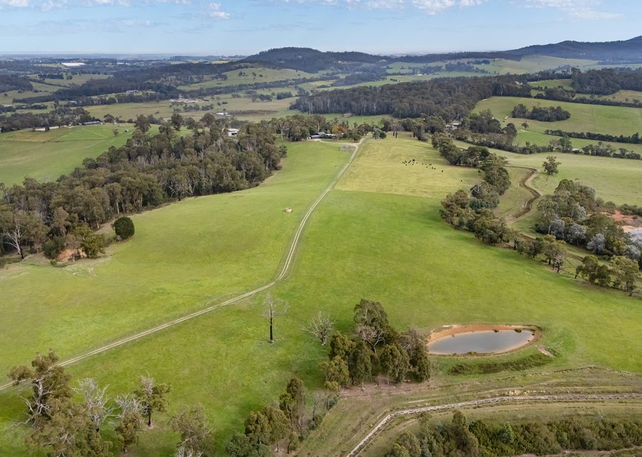 Mysa Homestead