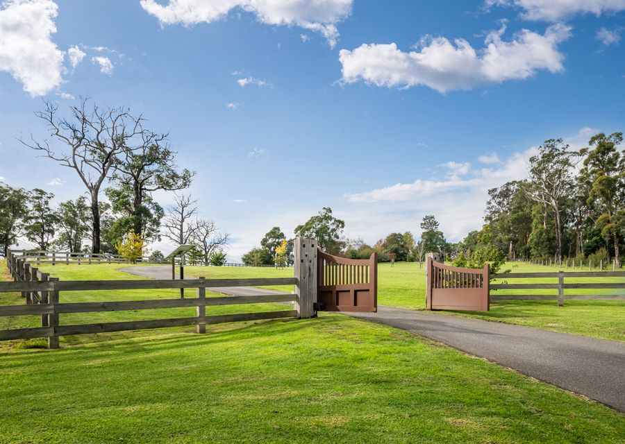 Mysa Homestead