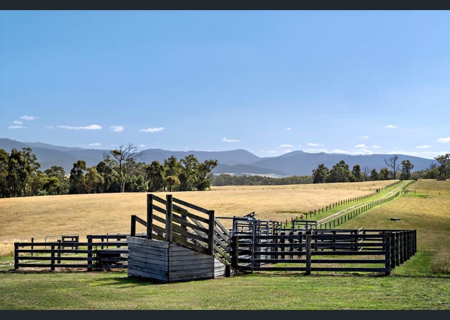 Mysa Homestead