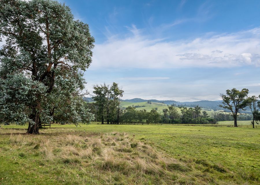 Mysa Homestead