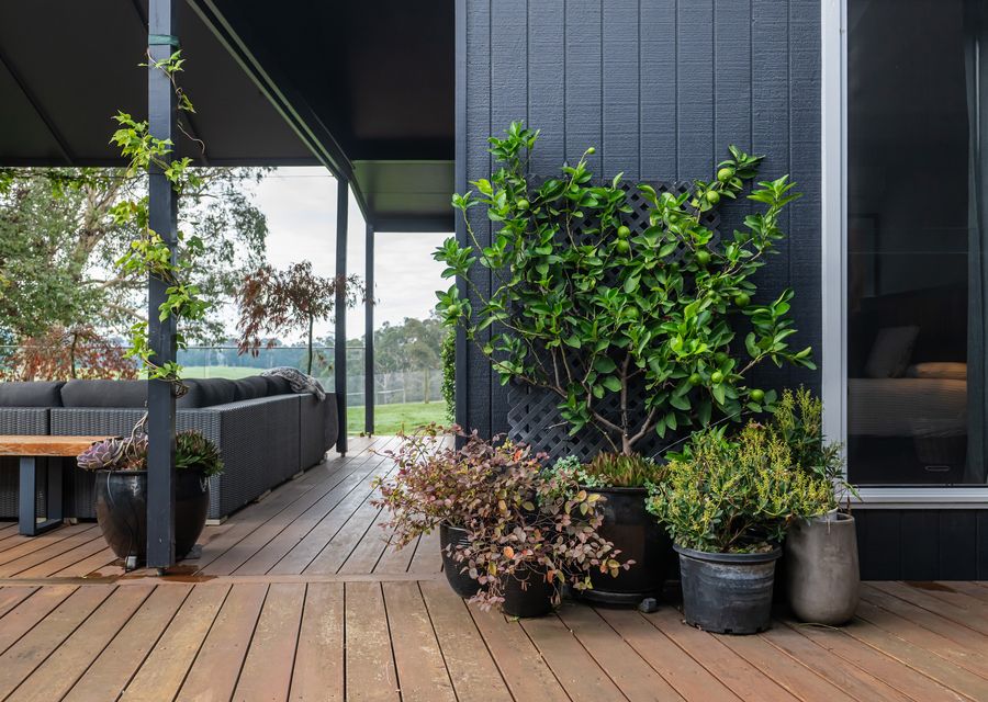 Mysa Homestead