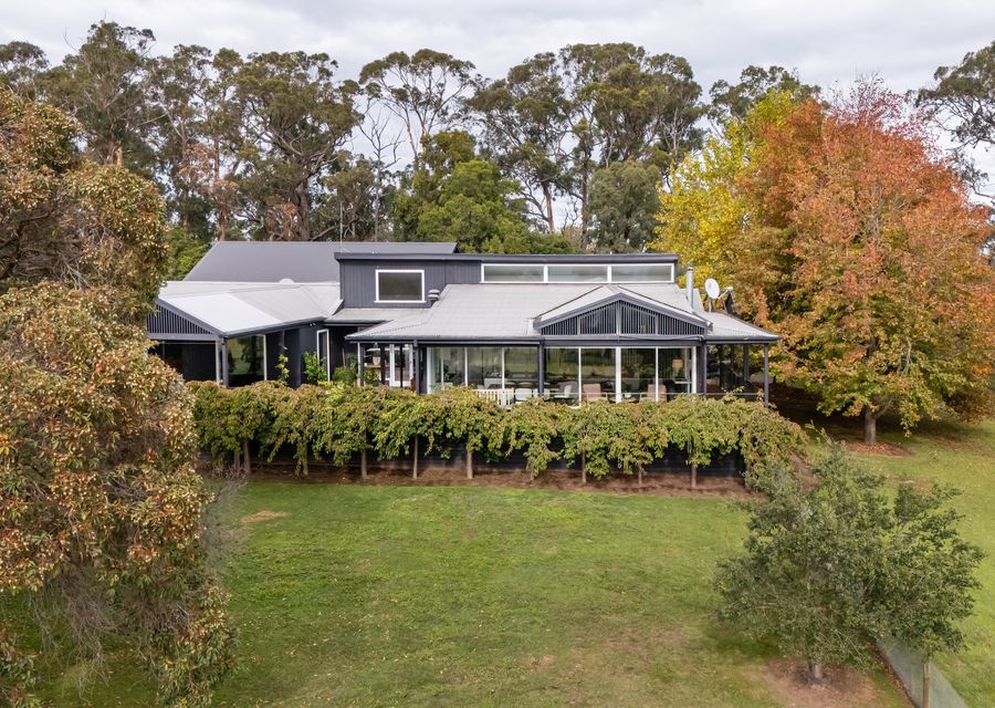 Mysa Homestead