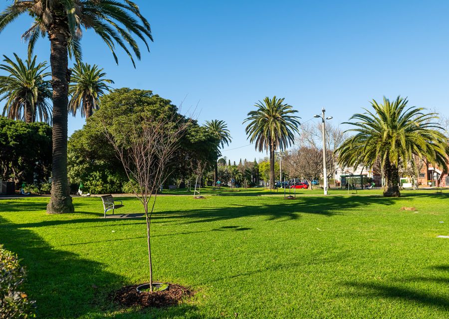 Elmrise in Elsternwick