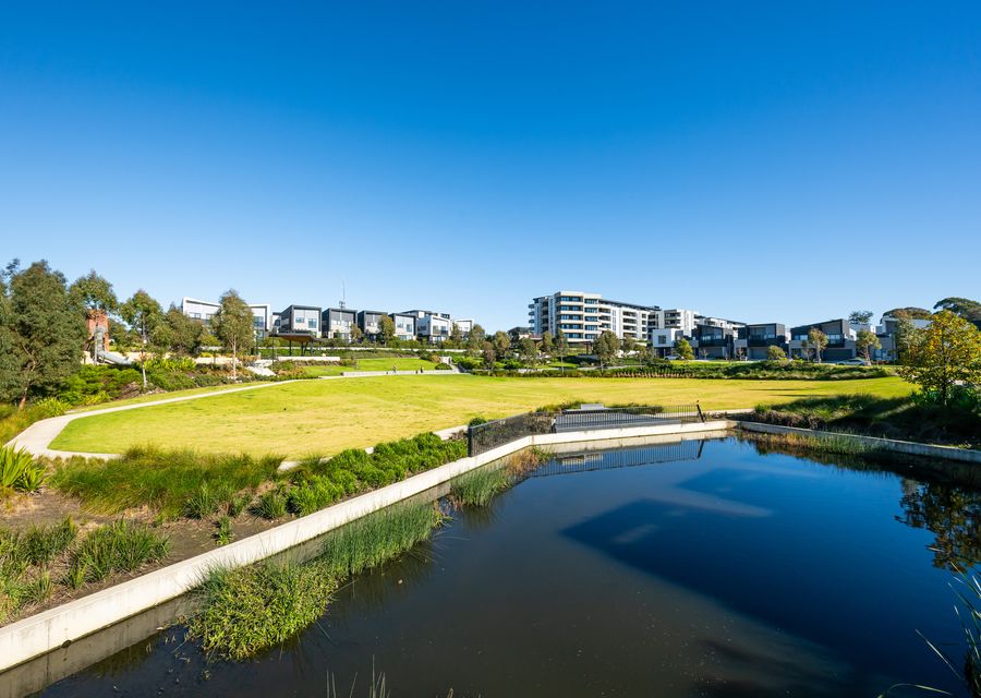 Beautiful Park and Wetland Views