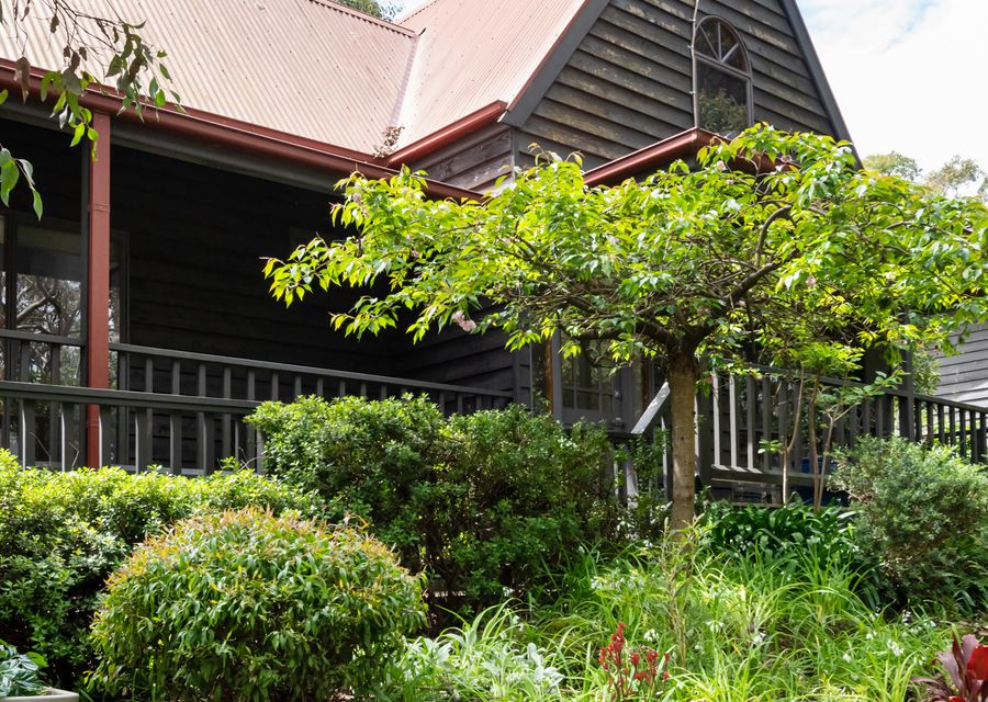 Property details and character