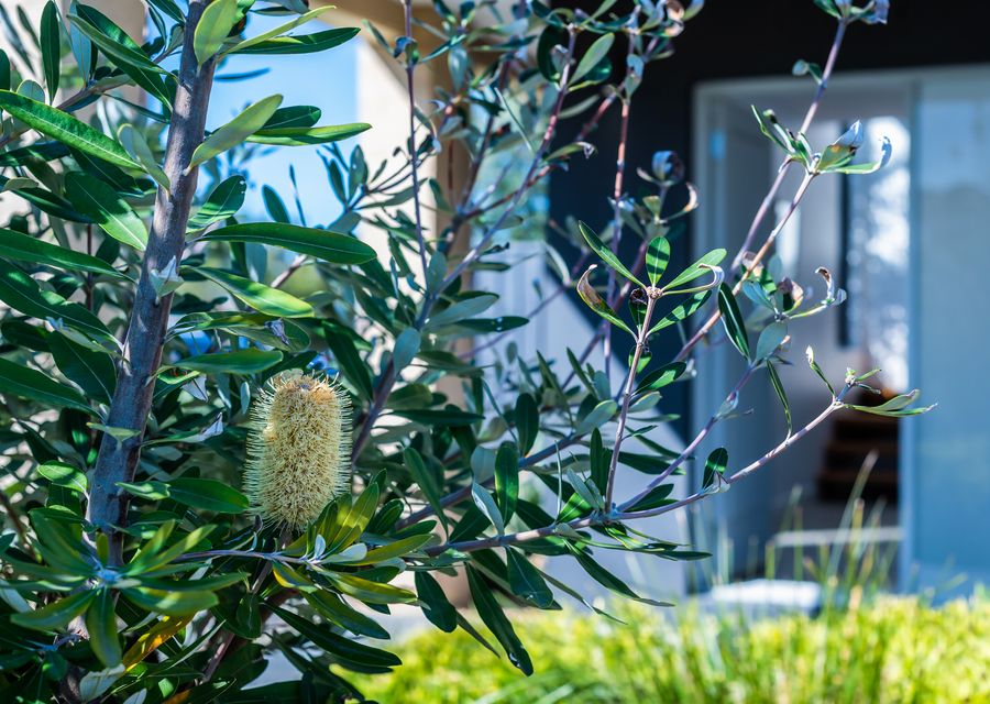 Lush and green surrounds - only a 200 meter walk from the beautiful Capel sound beach. 
