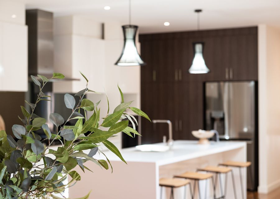 Stylish kitchen
