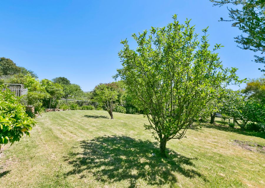 backyard cricket? Or maybe a kick of the footy. Soccer or maybe some Finska.
