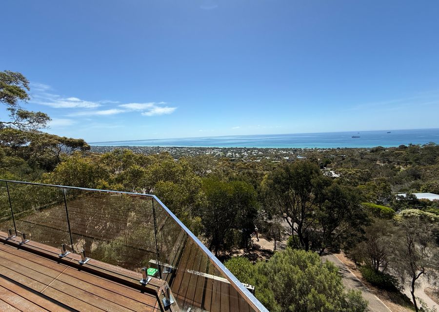 In the treetops with this view