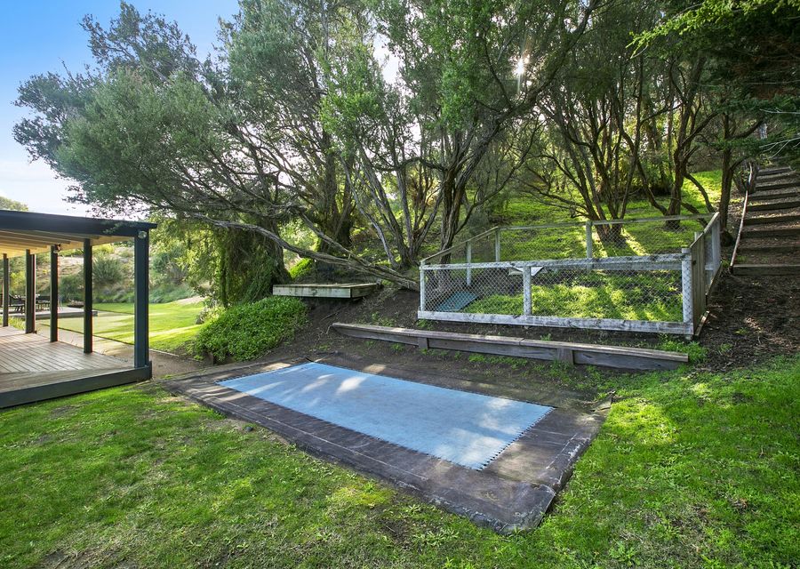 In ground trampoline Dog enclosure 