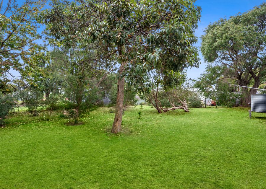 Large backyard