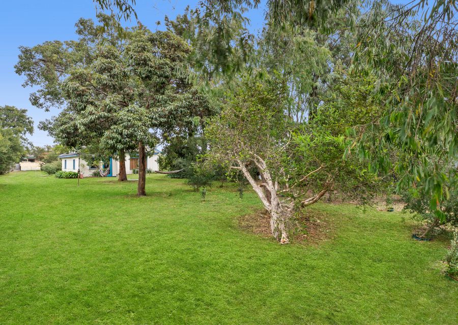 Large yard 