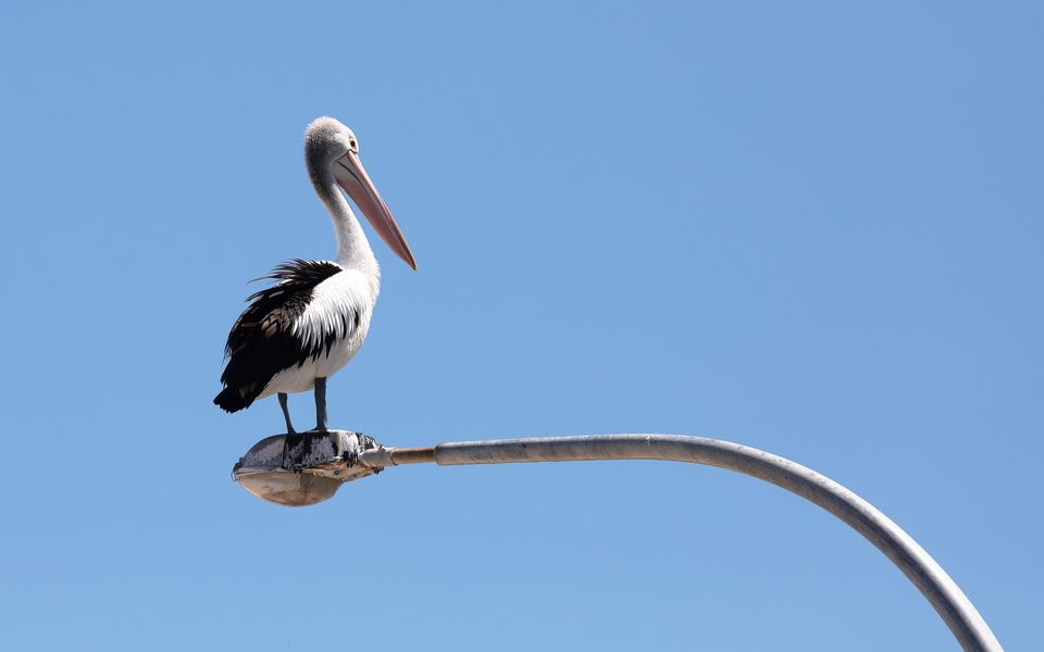 ‘Bay Parklands’ Close to Waters Edge