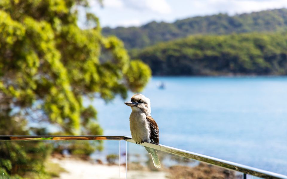 Lanimer ONE – Beautiful Waterfront Property