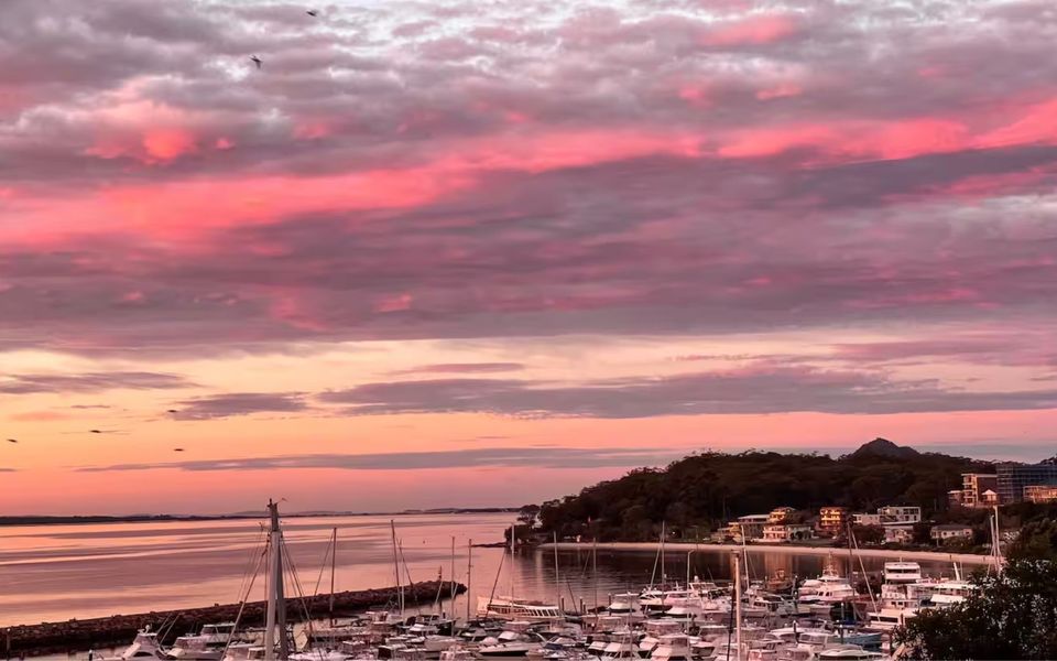 Paradiso on the Marina