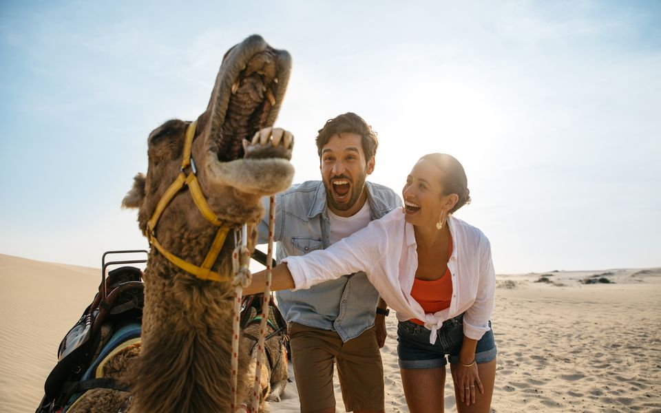 Absolute Waterfront Anna Bay