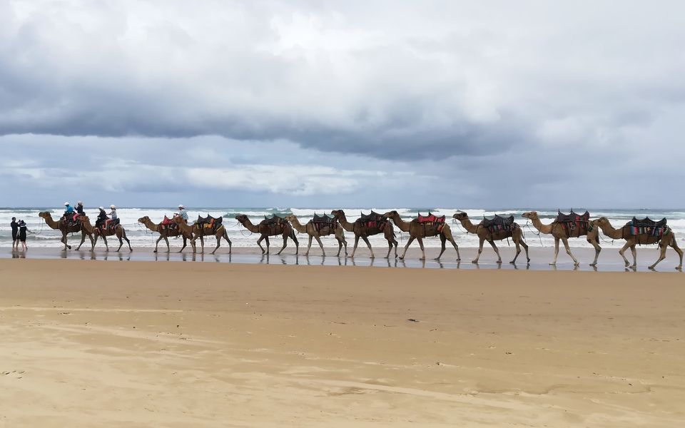 Absolute Waterfront Anna Bay