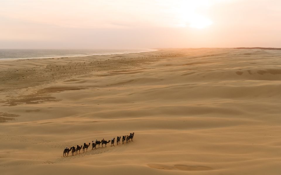 Hear the waves watch the whales Anna Bay